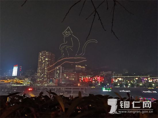 2月5日，无人机表演“黑叶猴”。沿河融媒体中心供图