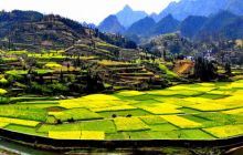 【春天的故事】bat365官网登录下载_365彩票官方下载手机_365bet大陆华人的网站趣事多