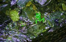 “好水贵天然•汇聚梵净山” 全国水主题摄影大赛（业余组）获奖作品欣赏