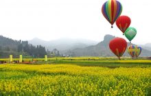碧江区第二届油菜花节暨山地旅游活动