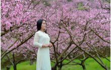 水源花开佳人来