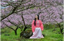 人面不知何处去 桃花依旧笑春风