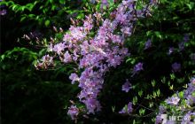 一周精彩【第97期】