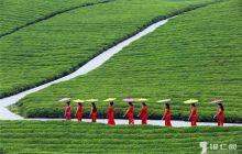 一周精彩【第99期】