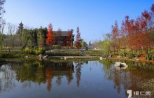 一周精彩【第129期】