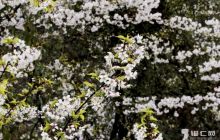 一周精彩【第145期】