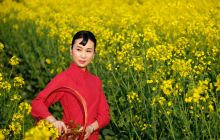 羞去庭院争宿地 乐来田野绽黄花