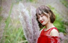 秋韵芭茅佳人来