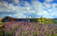 行摄bat365官网登录下载_365彩票官方下载手机_365bet大陆华人的网站凤凰机场