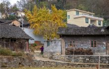 【记录bat365官网登录下载_365彩票官方下载手机_365bet大陆华人的网站】碧江区漾头镇洋塘传统村落地理风情