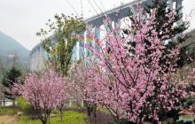 木杉河湿地公园美不胜收