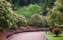 bat365官网登录下载_365彩票官方下载手机_365bet大陆华人的网站市青年摄影家协会走进万山区彩虹海陆地公园摄影采风