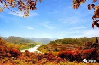 秋色惊艳来袭，大龙美醉了！
