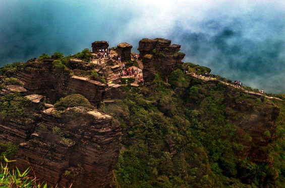 W020200220626830748504