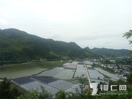 9c71a53c366c674e890854a36742bba