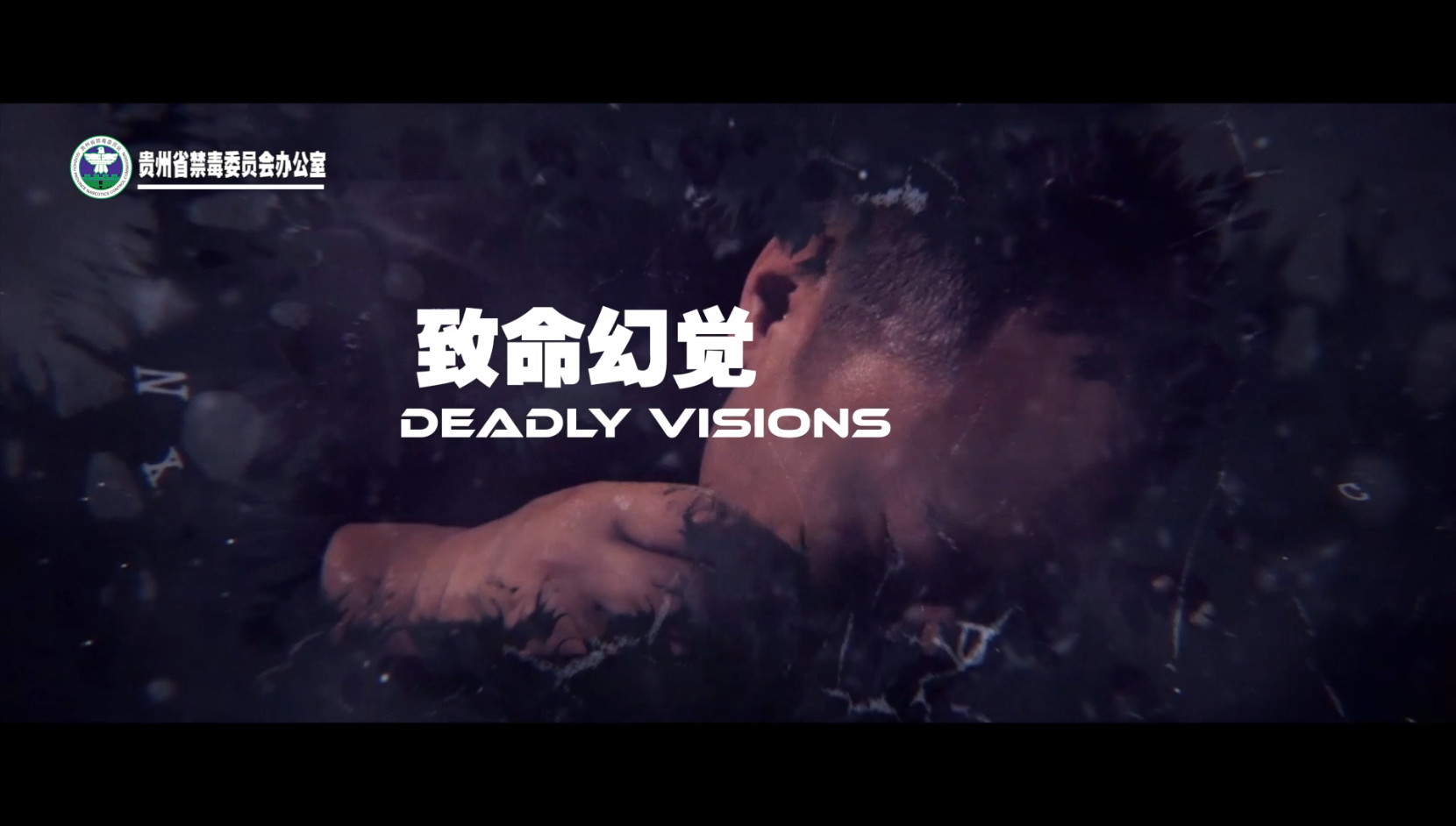 禁毒公益短视频”致命幻觉“