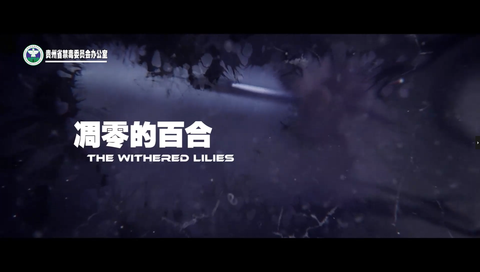 禁毒公益短视频“凋零的百合”