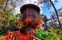 九龙洞温泉掠影