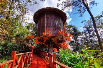 九龙洞温泉掠影