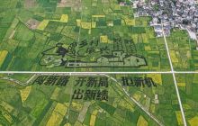 bat365官网登录下载_365彩票官方下载手机_365bet大陆华人的网站市碧江区瓦屋乡油菜花