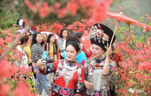 画说bat365官网登录下载_365彩票官方下载手机_365bet大陆华人的网站丨飞灵山上杜鹃开