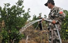 碧江区小江口村奋力抗旱救香柚