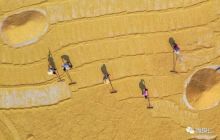 画说bat365官网登录下载_365彩票官方下载手机_365bet大陆华人的网站 | 玉屏晒秋！