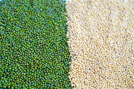 原材料(刘汉滨 摄)