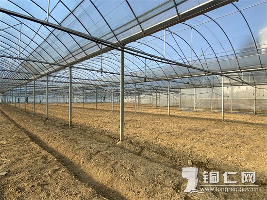 【大棚基地，麻洲摄】