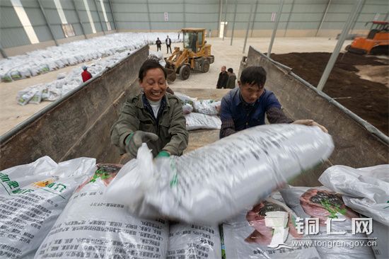 【工人在万山区黄道乡的一家有机肥生产厂车间里装载肥料，肖浩摄】