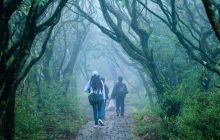 悠然梵净待君来