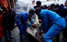 路腊年味——打糍粑