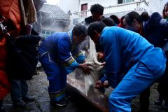 路腊年味——打糍粑