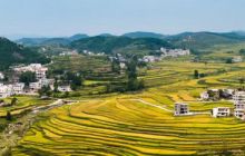 秋——丰收的季节