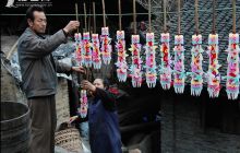 淇滩喜烛（花烛）